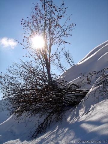 Zunderspitze : 12_02_2020_008_ZunderspitzeSkitour.JPG