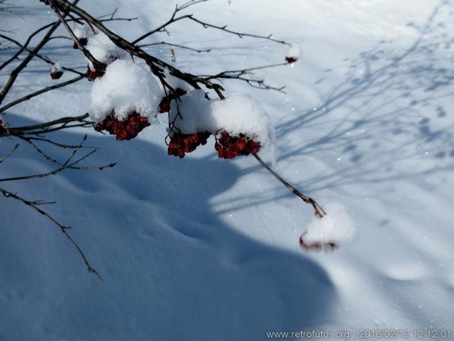 Zunderspitze : 12_02_2020_009_ZunderspitzeSkitour.JPG