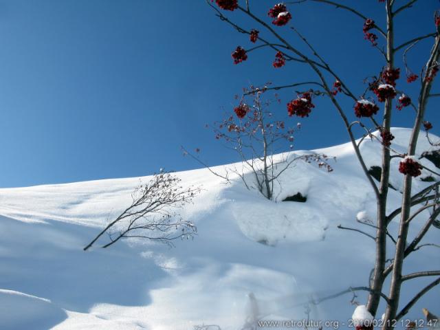 Zunderspitze : 12_02_2020_012_ZunderspitzeSkitour.JPG