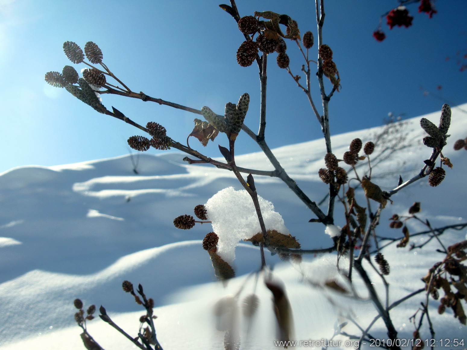 Zunderspitze : 12_02_2020_013_ZunderspitzeSkitour.JPG