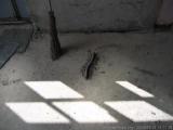 2004_09_10_030_AdamelloLiftology.JPG (37.35 KByte) Nambrone : 2004_09_10_030_AdamelloLiftology.JPG