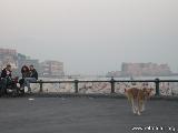 Napoli 05 : 2005_10_27-31_NapoliPositanoUrbanity_069.JPG