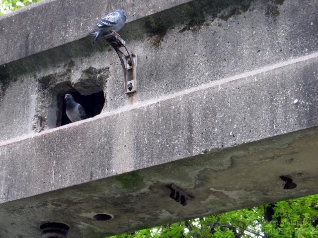 Alweg Monorail : 2006_04_18-20_215_TorinoUrbanity.jpg