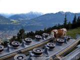 .. derweil inspizierten im Sommer noch die Kühe akribisch einzelne Bahnteile ... (49.93 KByte) Hafelekar : .. derweil inspizierten im Sommer noch die Kühe akribisch einzelne Bahnteile ...