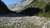 Jemand hat hier seine Steine verloren. (60.52 KByte) Tag 003: Fornogletscher und -tal : Jemand hat hier seine Steine verloren.