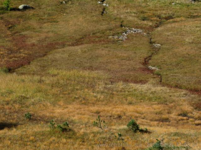 Tag 003: Fornogletscher und -tal : Texturen 4