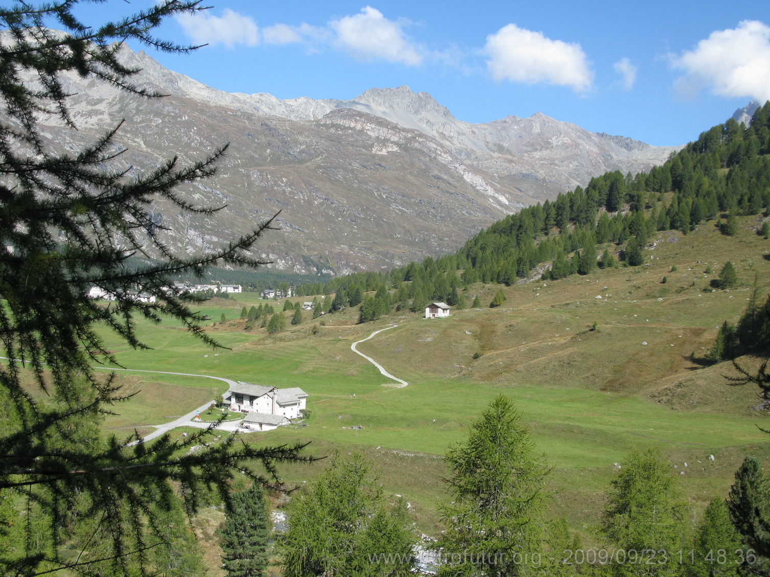 Tag 003: Fornogletscher und -tal : Links ist Maloja Dorf. Es sieht nicht so schön aus, daher sollte es durch Astwerk der Lärche ein wenig in verdeckt werden.