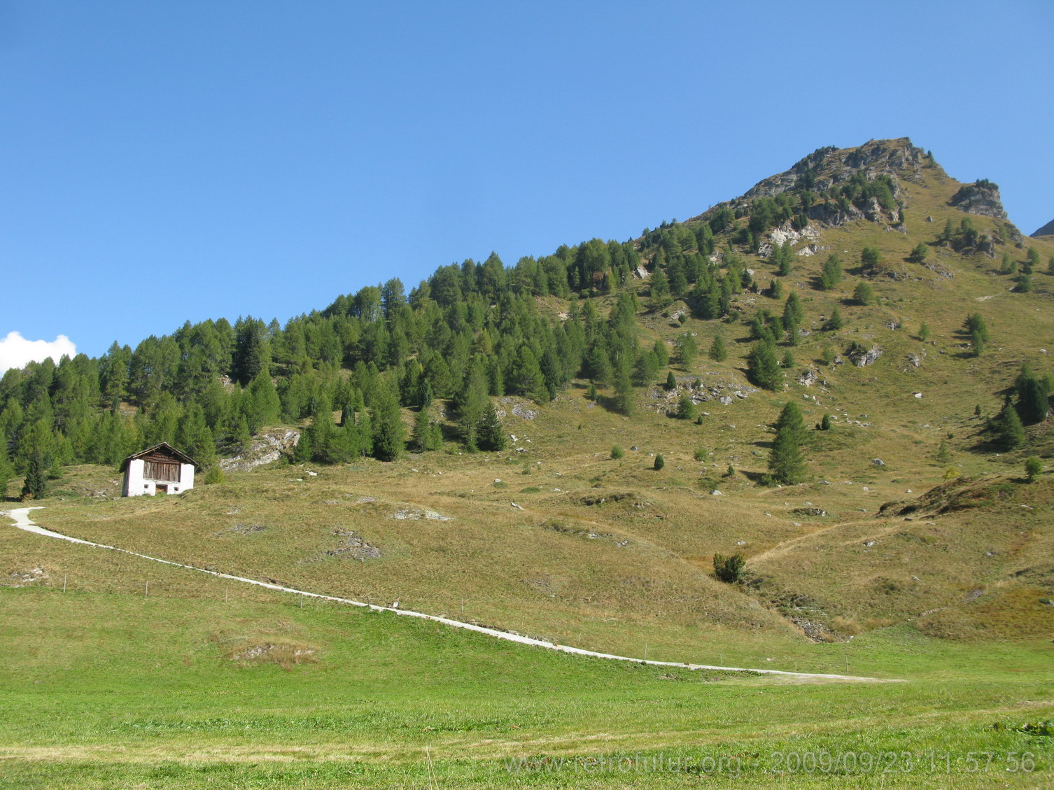 Tag 003: Fornogletscher und -tal : Vorherbstliche Spätsommerkollektion.