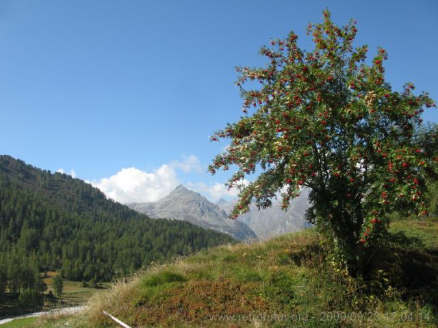 Tag 003: Fornogletscher und -tal : Bergell_21-23_09_2009_0148.JPG