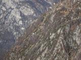 Oben rechts die Stichstrecke des Tracciolino zur Bergstation der von Novate Mezzola heraufführenden Standseilbahn. Parrallel zu diesem die Druckleitung für die aus den Codera und Ratti Tätern eingeleiteten Wassermassen (77.83 KByte) Der erster Abschnitt des Tracciolino : Oben rechts die Stichstrecke des Tracciolino zur Bergstation der von Novate Mezzola heraufführenden Standseilbahn. Parrallel zu diesem die Druckleitung für die aus den Codera und Ratti Tätern eingeleiteten Wassermassen