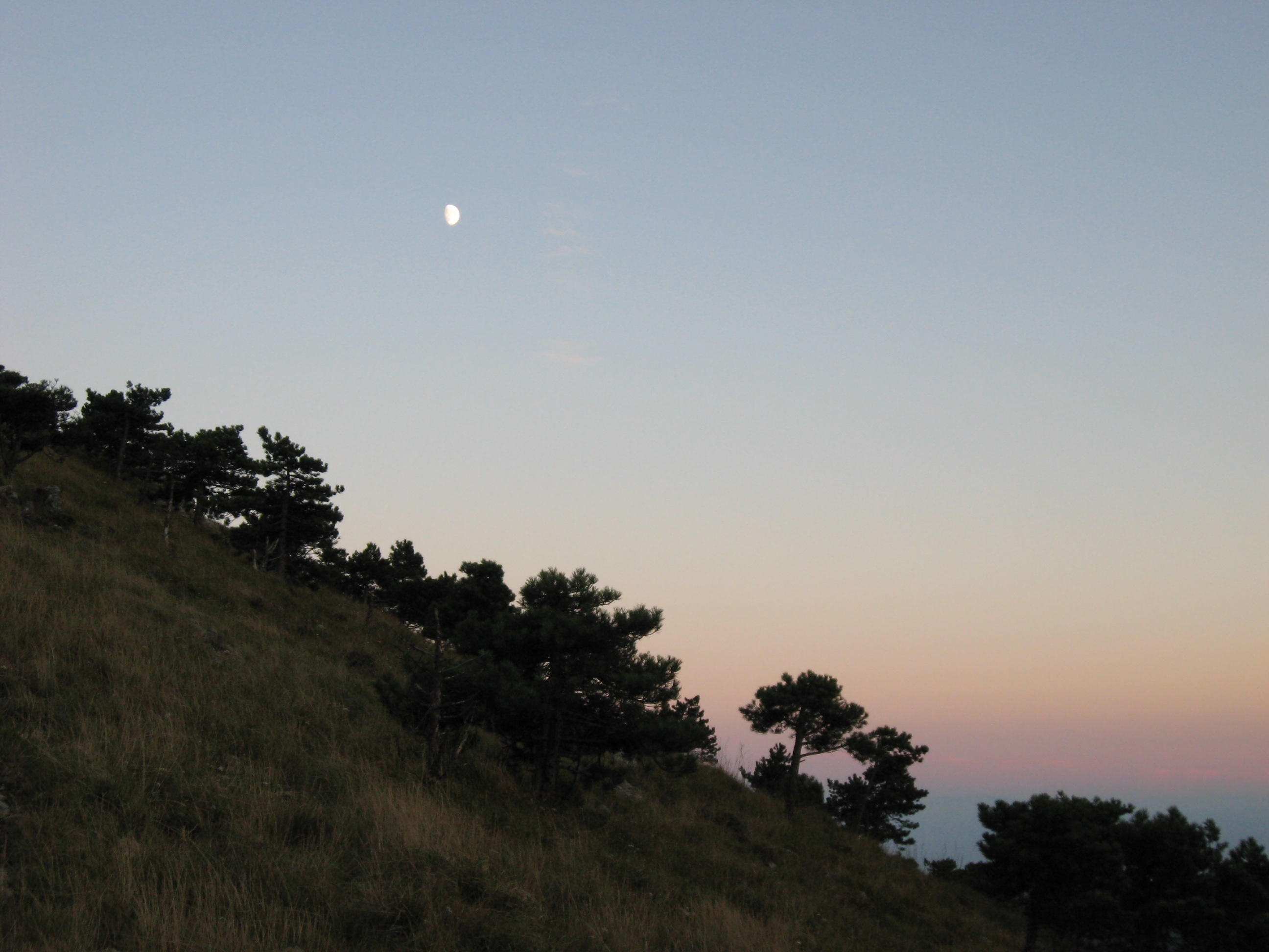 Alta Via Ligure : IMG_0038.JPG