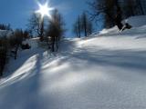 Lichte Lärchenwälder ... (41.75 KByte) 12.3 :: Nice-Isola 2K (FRA) - Bagni di Vinadio / Strepeis (ITA) : Lichte Lärchenwälder ...