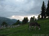 Olperer Runde : IMG_0425.JPG
