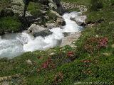 Olperer Runde : IMG_0497.JPG