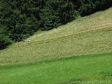 Olperer Runde : IMG_0564.JPG