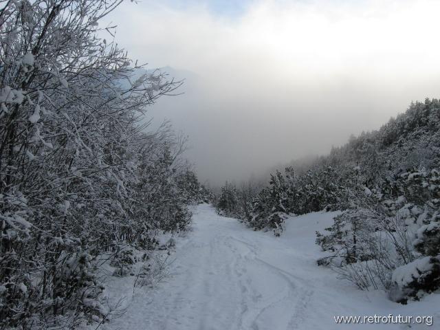 Mieminger Gebirge / Kleine Runde : IMG_0919.JPG