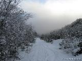 Mieminger Gebirge / Kleine Runde : IMG_0919.JPG