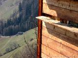 Dreiecker, von Kasern aus : IMG_1697.JPG