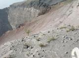 Il vulcano : IMG_1761.JPG