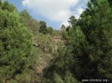 Il vulcano : IMG_1774.JPG