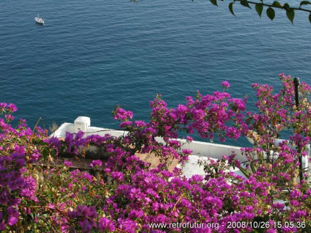 Girovagando sopra la costa : IMG_1990.JPG