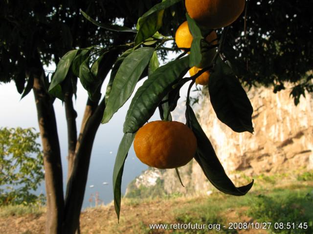 Girovagando sopra la costa : IMG_2130.JPG