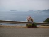 Sardegna 2010 : IMG_2833.JPG