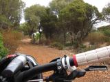 Sardegna 2010 : IMG_3036.JPG