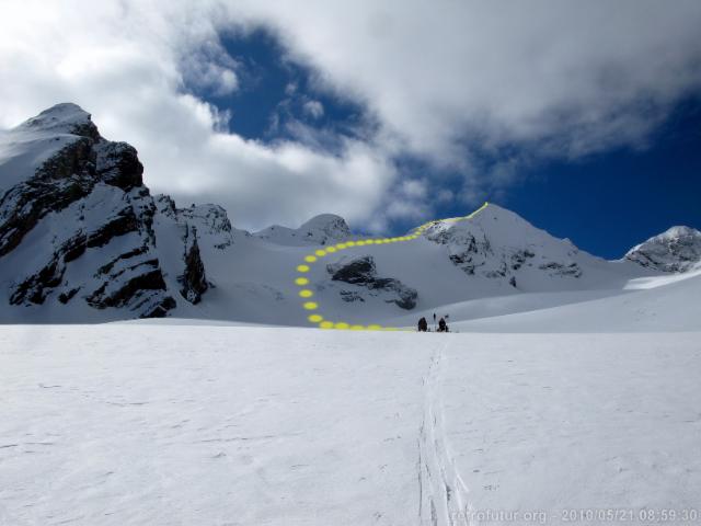 Tuckettstspitze / Berglhütte : Weiter Knöpfe einsammeln entlang des Aufstiegs zur Tuckett Spitze