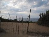 Sardegna 2010 : IMG_3175.JPG