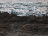 Sardegna 2010 : IMG_3186.JPG