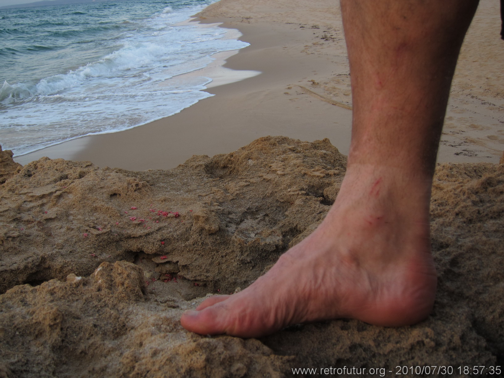 Sardegna 2010 : IMG_3192.JPG