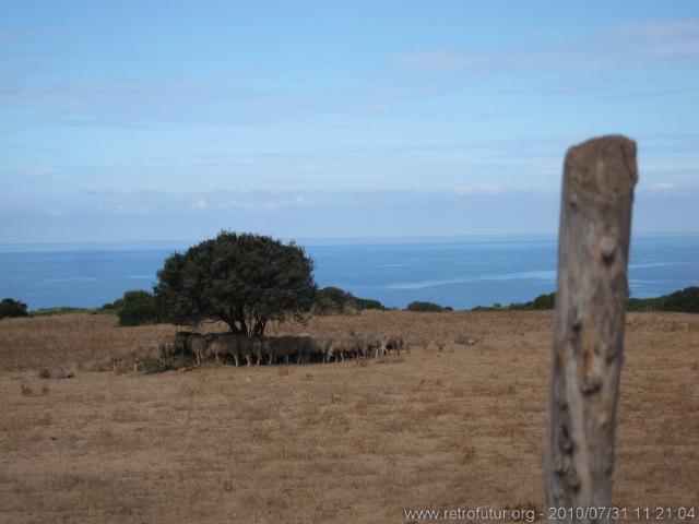 Sardegna 2010 : IMG_3321.JPG