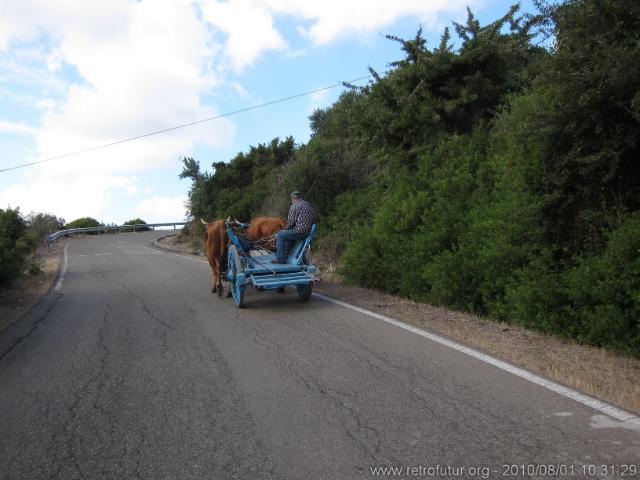 Sardegna 2010 : IMG_3470.JPG