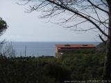 Sardegna 2010 : IMG_3503.JPG