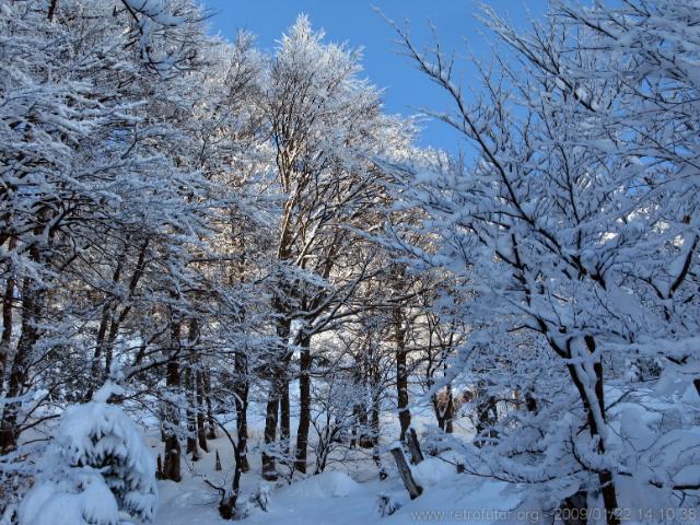 Hafelekar : ... irgendwo geht es immer durch im Winter 08/09 ...