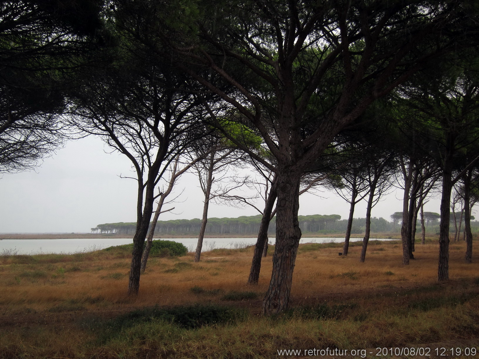 Sardegna 2010 : IMG_3697.JPG