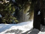 Alpensitze / Mareiter Stein : IMG_3829.JPG