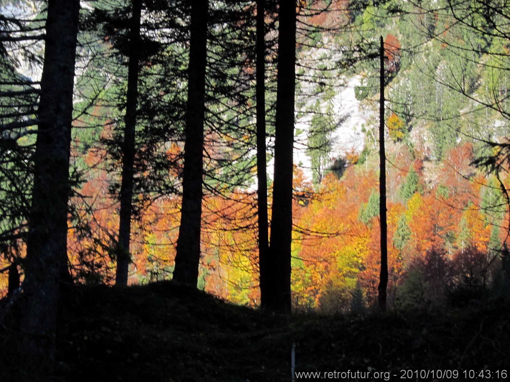 Karwendel 2010 : Muster