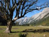 Karwendel 2010 : IMG_3934.JPG