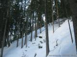 Alpensitze / Mareiter Stein : IMG_4013.JPG