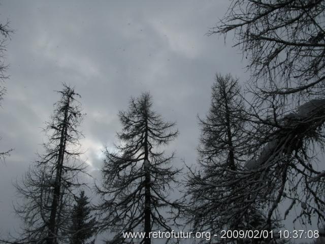 Weissenbach - Tristenpulver : IMG_4174.JPG