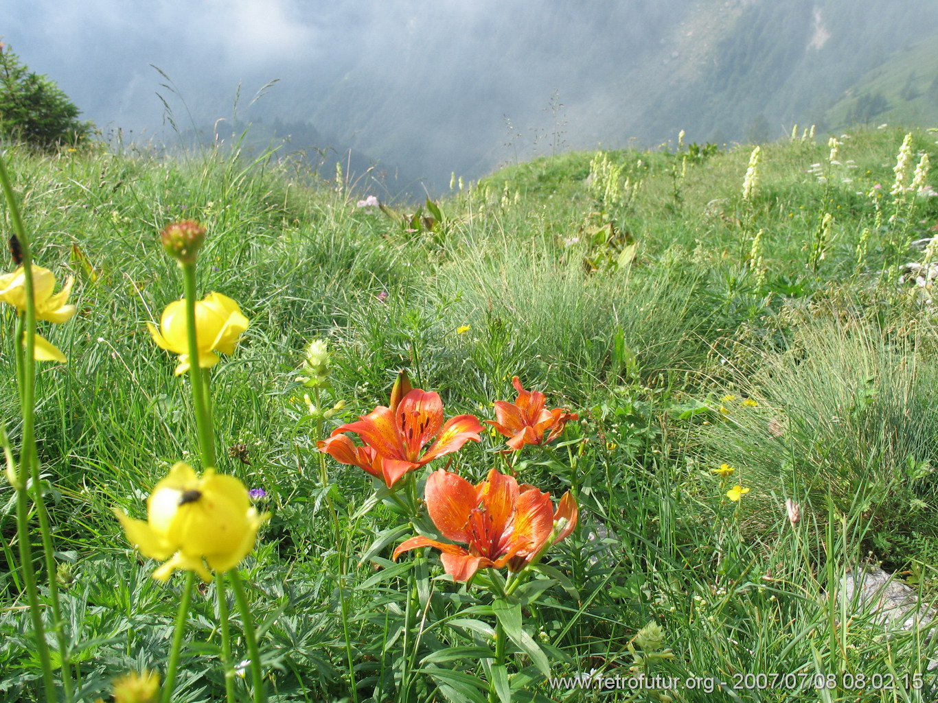 8.7. Zum Fusse der Civetta: Rifugio San Sebastiano / Passo Duran, Zoldo : IMG_6773.JPG