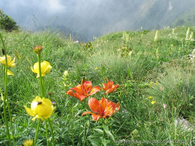 8.7. Zum Fusse der Civetta: Rifugio San Sebastiano / Passo Duran, Zoldo : IMG_6773.JPG