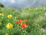 8.7. Zum Fusse der Civetta: Rifugio San Sebastiano / Passo Duran, Zoldo : IMG_6773.JPG