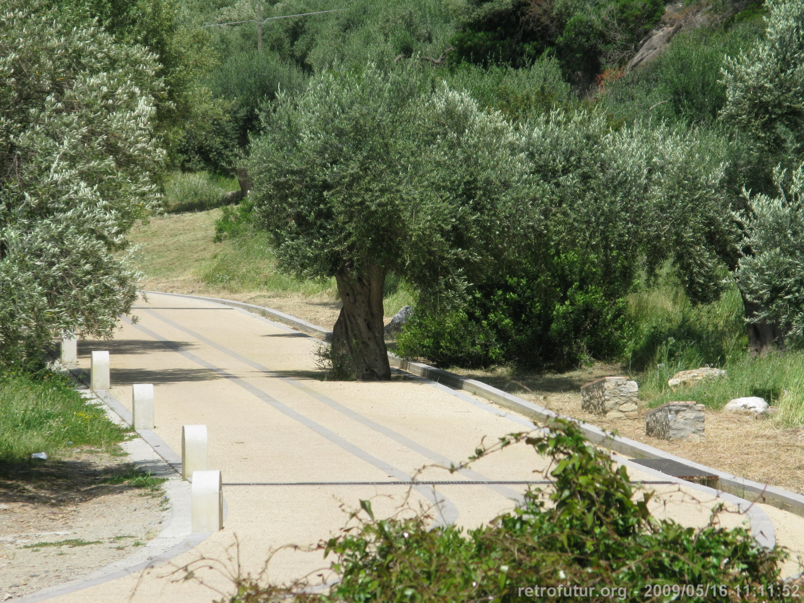 back home : IMG_7196.JPG