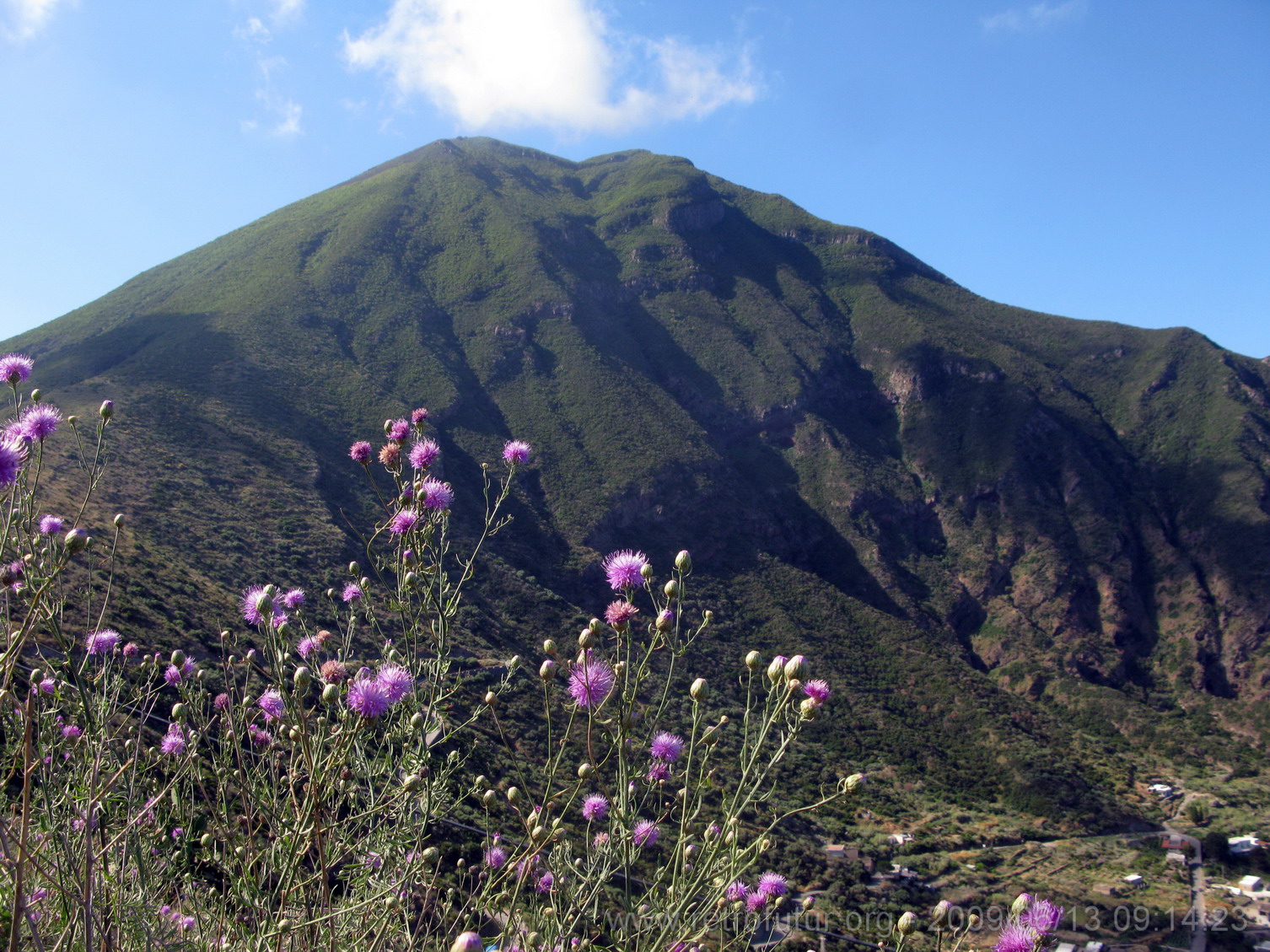 13.6: Around Monte Porri, the northern of the two extinct volcanos on Salina island : IMG_7884.JPG