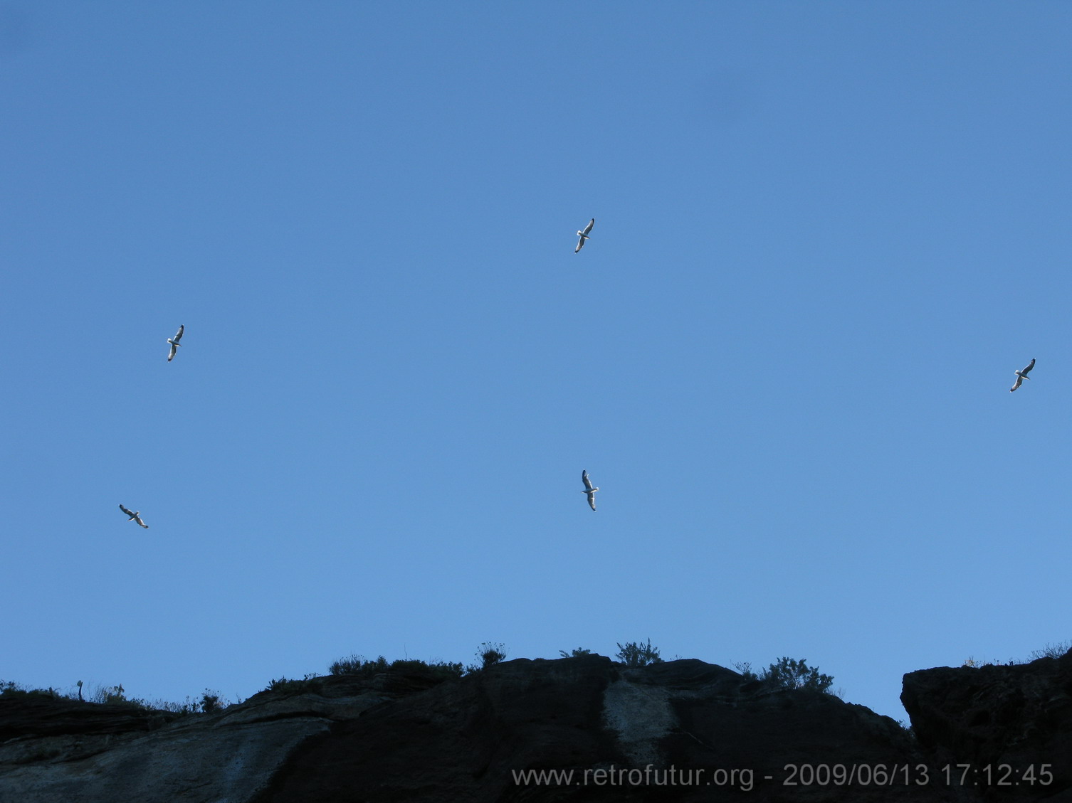 13.6: Around Monte Porri, the northern of the two extinct volcanos on Salina island : IMG_7934.JPG