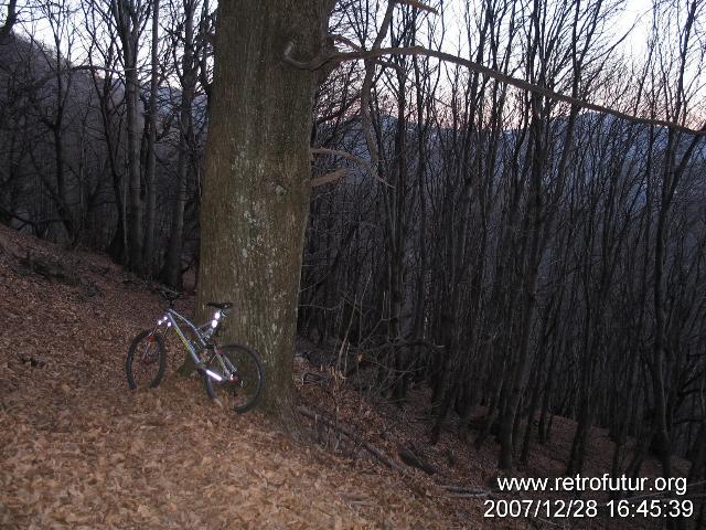 Pian Vada (Monte Zeda) / Lago Maggiore : IMG_8195.JPG