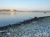 Lago Maggiore - rusty sunset walk : P1011549.JPG